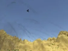Shooter Toucan